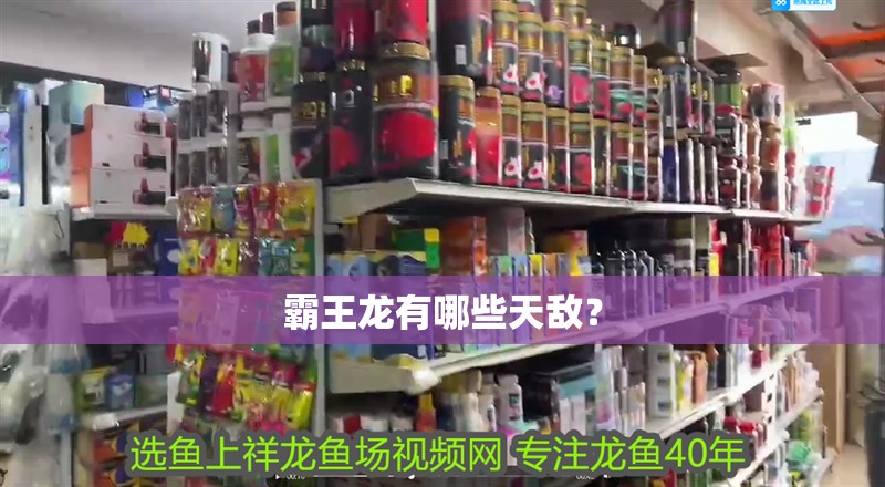 霸王龍有哪些天敵？ 霸王龍有哪些天敵？ 龍魚論壇