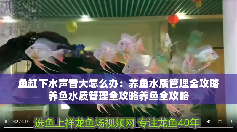 魚缸下水聲音大怎么辦：養魚水質管理全攻略養魚水質管理全攻略養魚全攻略 魚缸下水聲音大怎么辦：養魚水質管理全攻略養魚水質管理全攻略養魚全攻略 魚缸百科