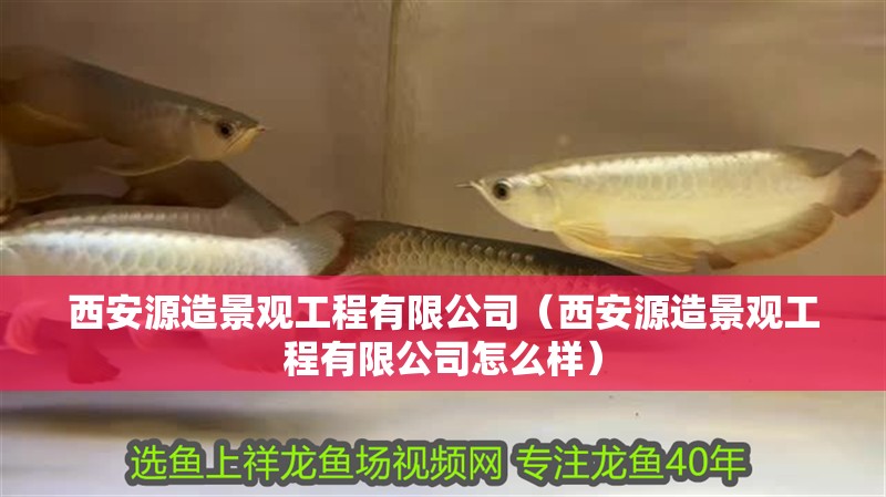 西<strong><mark>安源</mark></strong>造景觀工程有限公司（西<strong><mark>安源</mark></strong>造景觀工程有限公司怎么樣）