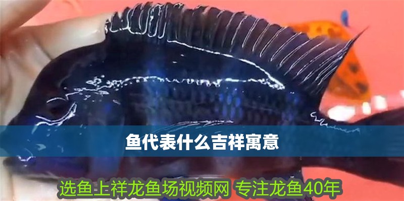 魚代表什么吉祥寓意