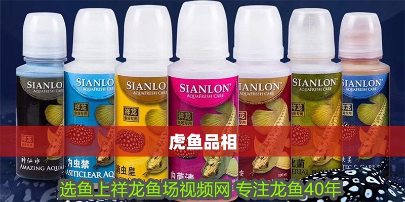 虎魚品相