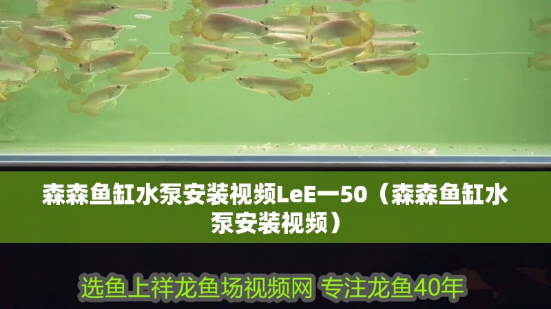 森森魚(yú)缸水泵安裝視頻LeE一50（森森魚(yú)缸水泵安裝視頻）