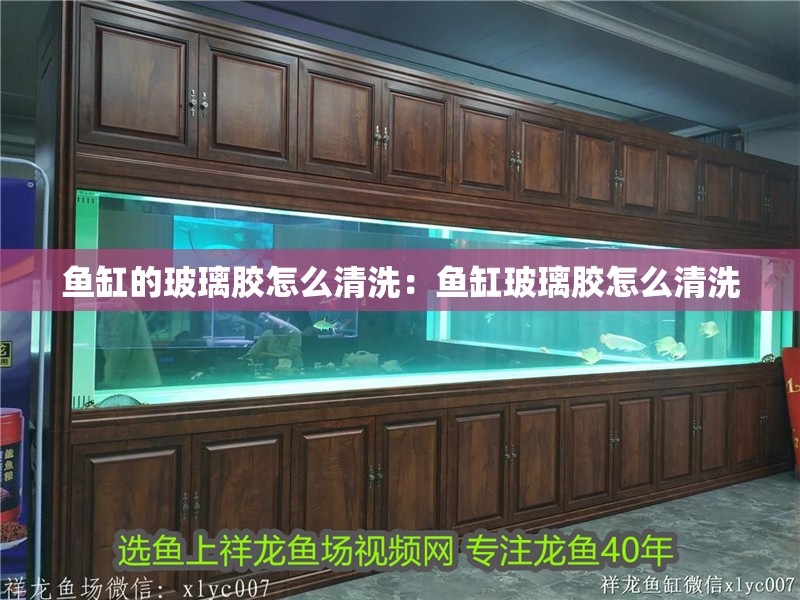 魚缸的玻璃膠怎么清洗：魚缸玻璃膠怎么清洗
