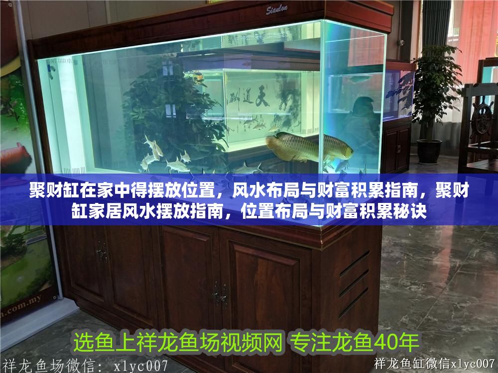 詳細(xì)閱讀:聚財(cái)缸在家中得擺放位置,風(fēng)水布局與財(cái)富積累指南,聚財(cái)缸家居風(fēng)水?dāng)[放指南,位置布局與財(cái)富積累秘訣 聚財(cái)缸在家中得擺放位置,風(fēng)水布局與財(cái)富積累指南,聚財(cái)缸家居風(fēng)水?dāng)[放指南,位置布局與財(cái)富積累秘訣