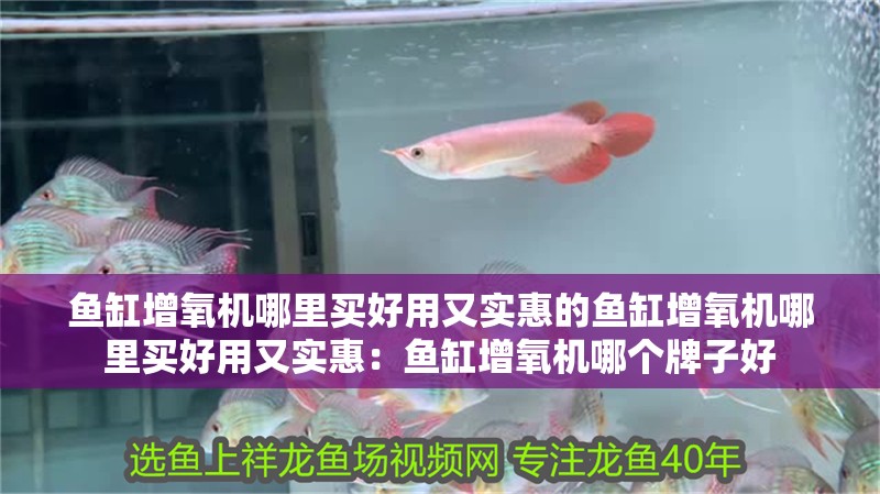 魚缸增氧機(jī)哪里買好用又實(shí)惠的魚缸增氧機(jī)哪里買好用又實(shí)惠：魚缸增氧機(jī)哪個(gè)牌子好