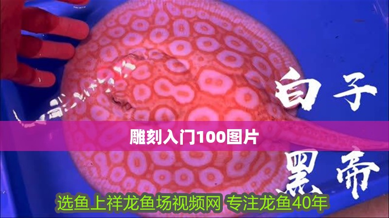 雕刻入門100圖片