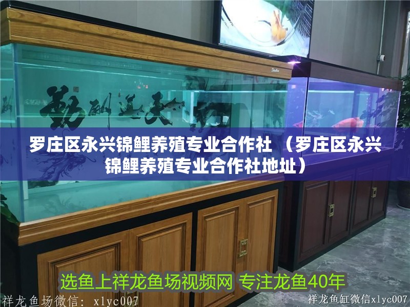 羅莊區永興錦鯉養殖專業<strong><mark>合作</mark></strong>社 （羅莊區永興錦鯉養殖專業<strong><mark>合作</mark></strong>社地址）