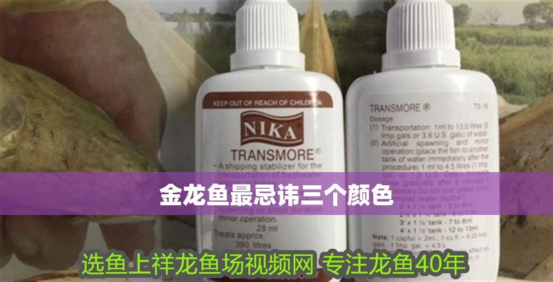 金龍魚最忌諱三個顏色
