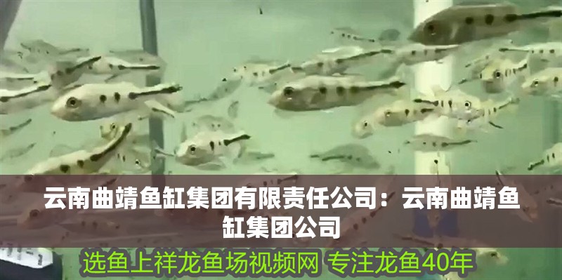 云南曲靖魚缸集團有限責任公司：云南曲靖魚缸集團公司