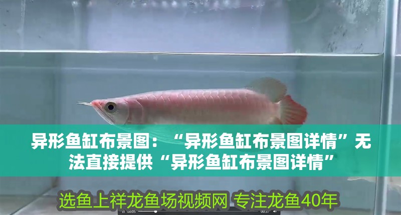 異形魚缸布景圖：“異形魚缸布景圖詳情”無法直接提供“異形魚缸布景圖詳情”