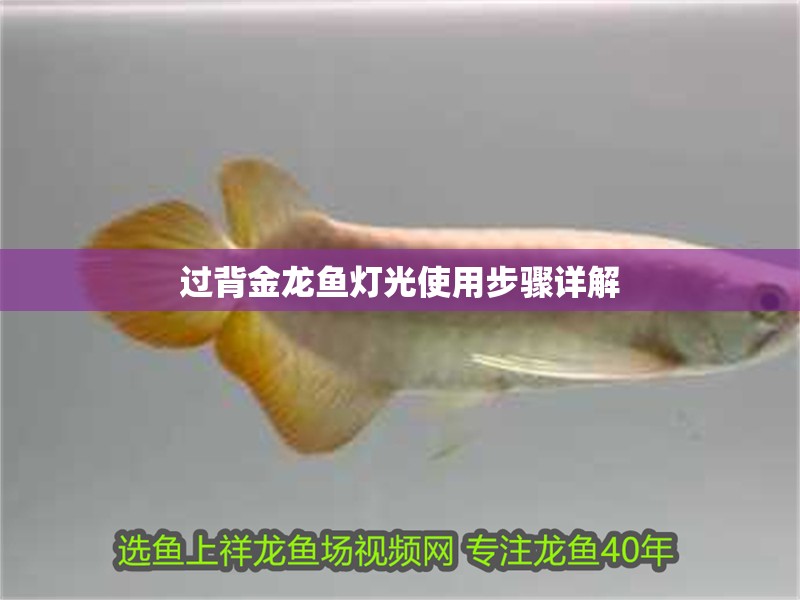 過背金龍魚燈光使用步驟詳解 過背金龍魚燈光使用步驟詳解 龍魚論壇