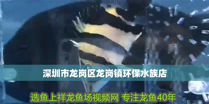 深圳市龍崗區龍崗鎮環保水族店 深圳市龍崗區龍崗鎮環保水族店 全國水族館企業名錄