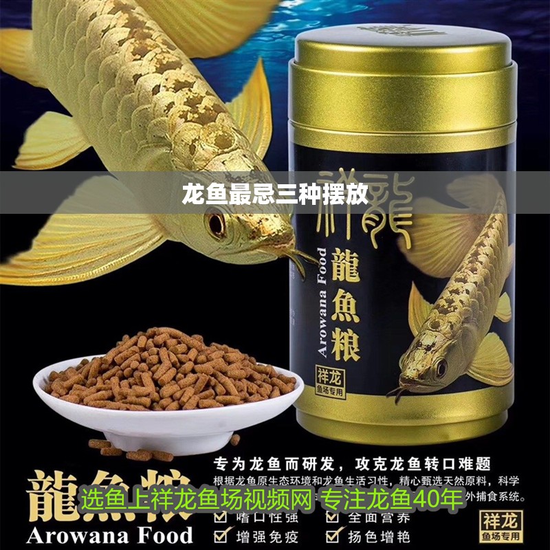 龍魚最忌三種擺放