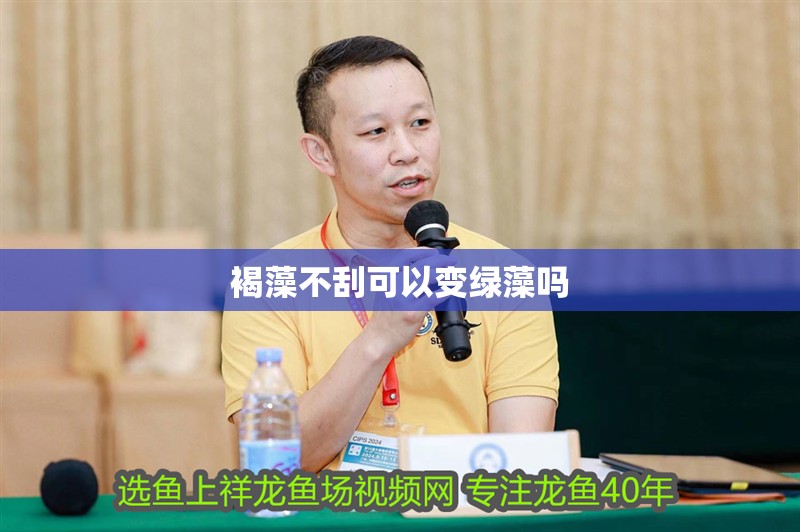 褐藻不刮可以變綠藻嗎