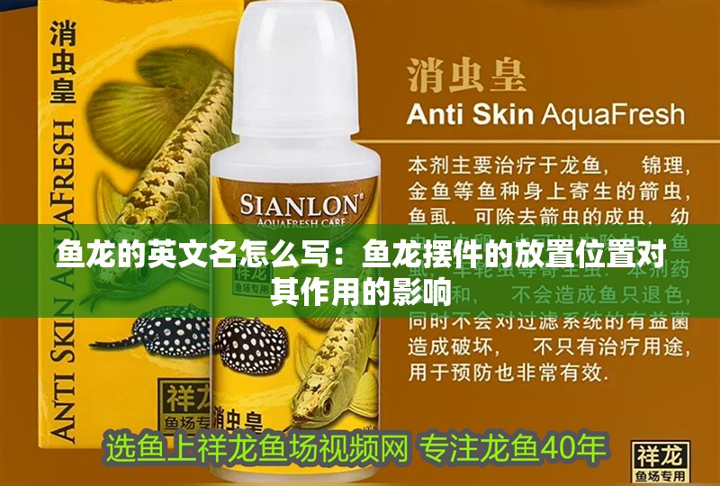 魚龍的英文名怎么寫：魚龍擺件的放置位置對其作用的影響