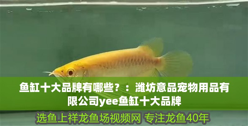 魚缸十大品牌有哪些？：濰坊意品寵物用品有限公司yee魚缸十大品牌