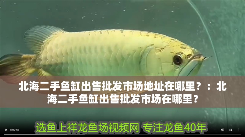 北海二手魚缸出售批發市場地址在哪里？：北海二手魚缸出售批發市場在哪里？