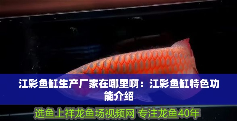 江彩魚缸生產廠家在哪里啊：江彩魚缸特色功能介紹