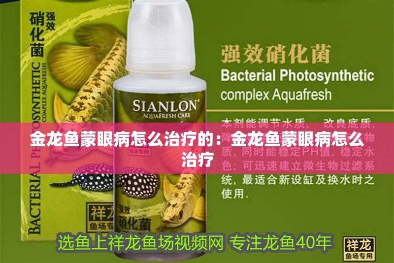 魚缸造景先放沙還是先放水(魚缸造景先鋪沙還是先放石頭) 金龍魚蒙眼病怎么治療的:金龍魚蒙眼病怎么治療 龍魚百科 金龍魚蒙眼病怎么治療的:金龍魚蒙眼病怎么治療 金龍魚蒙眼病怎么治療的:金龍魚蒙眼病怎么治療 龍魚百科