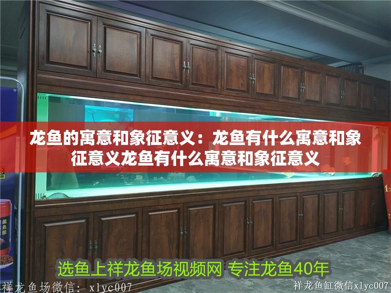 龍魚的寓意和象征意義：龍魚有什么寓意和象征意義龍魚有什么寓意和象征意義