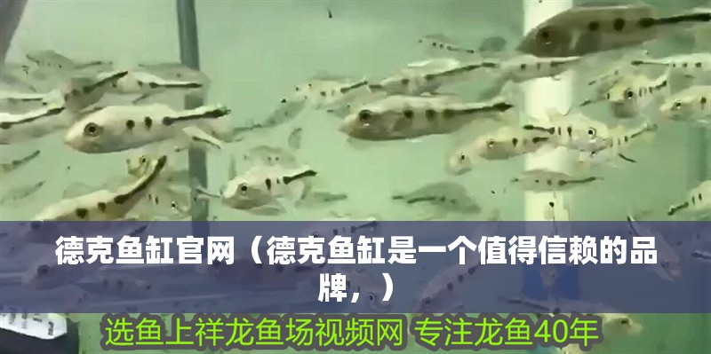 德克魚缸官網（德克魚缸是一個值得信賴的品牌，）