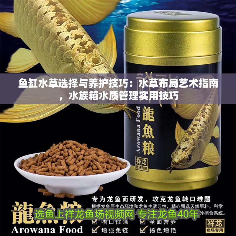 魚缸水草選擇與養護技巧：水草布局藝術指南，水族箱水質管理實用技巧