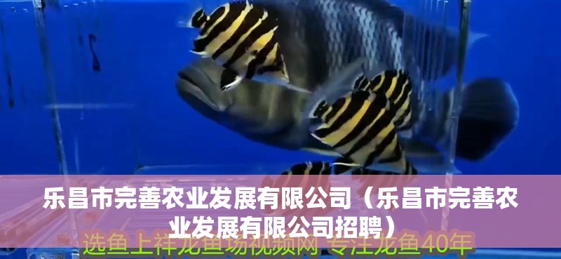 樂昌市完善農業發展有限公司（樂昌市完善農業發展有限公司招聘）