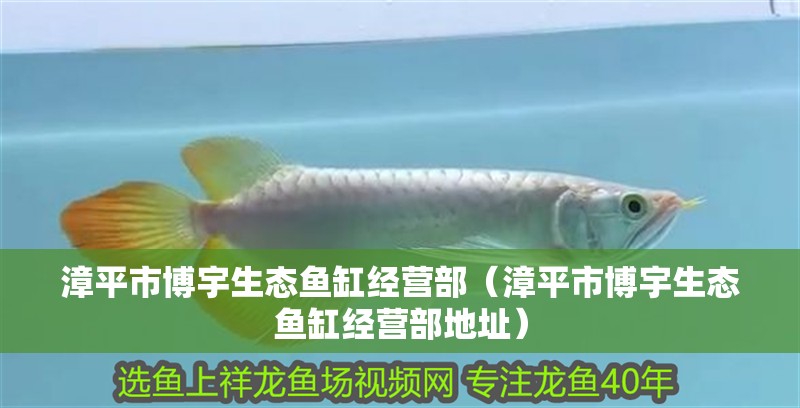 漳平市博宇生態魚缸經營部（漳平市博宇生態魚缸經營部地址）