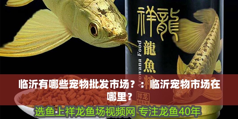 臨沂有哪些寵物批發市場？：臨沂寵物市場在哪里？