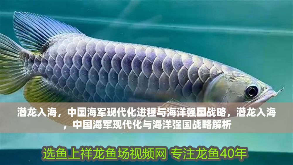 潛龍入海，中國海軍現(xiàn)代化進程與海洋強國戰(zhàn)略，潛龍入海，中國海軍現(xiàn)代化與海洋強國戰(zhàn)略解析