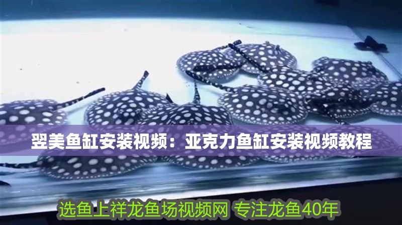 翌美魚缸安裝視頻：亞克力魚缸安裝視頻教程