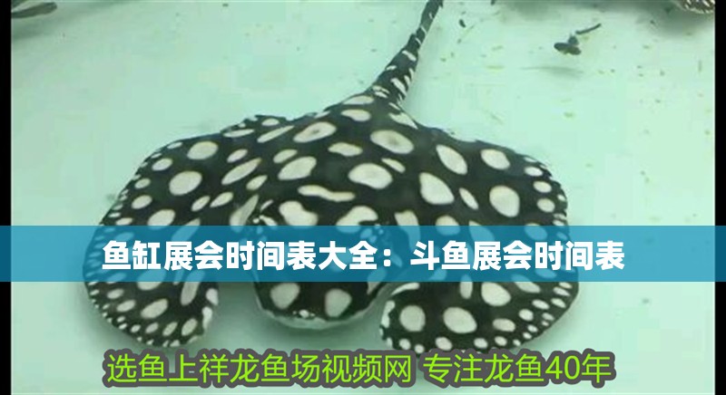 魚缸展會時間表大全：斗魚展會時間表