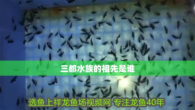 三都水族的祖先是誰