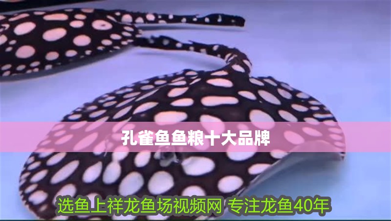 孔雀魚(yú)魚(yú)糧十大品牌