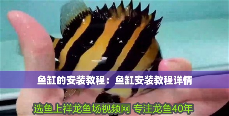 魚缸的安裝教程：魚缸安裝教程詳情
