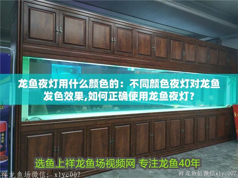 龍魚夜燈用什么顏色的：不同顏色夜燈對龍魚發色效果,如何正確使用龍魚夜燈？