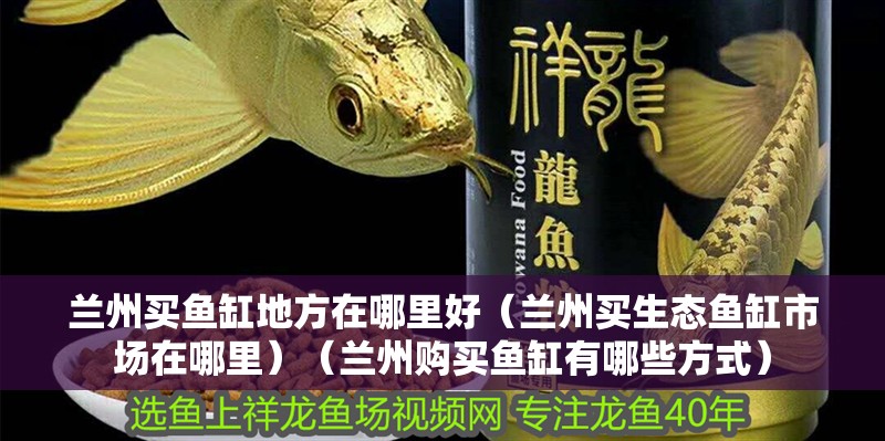 蘭州買魚缸地方在哪里好（蘭州買生態魚缸市場在哪里）（蘭州購買魚缸有哪些方式） 蘭州買魚缸地方在哪里好（蘭州買生態魚缸市場在哪里）（蘭州購買魚缸有哪些方式） 魚缸百科