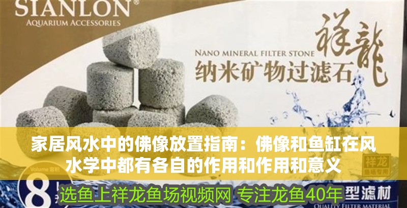 家居風(fēng)水中的佛像放置指南：佛像和魚缸在風(fēng)水學(xué)中都有各自的作用和作用和意義 家居風(fēng)水中的佛像放置指南：佛像和魚缸在風(fēng)水學(xué)中都有各自的作用和作用和意義 魚缸百科