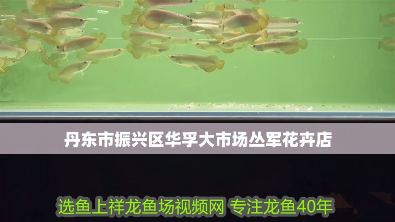 魚缸造景先放沙還是先放水(魚缸造景先鋪沙還是先放石頭) 丹東市振興區(qū)華孚大市場叢軍花卉店 全國水族館企業(yè)名錄 丹東市振興區(qū)華孚大市場叢軍花卉店 丹東市振興區(qū)華孚大市場叢軍花卉店 全國水族館企業(yè)名錄