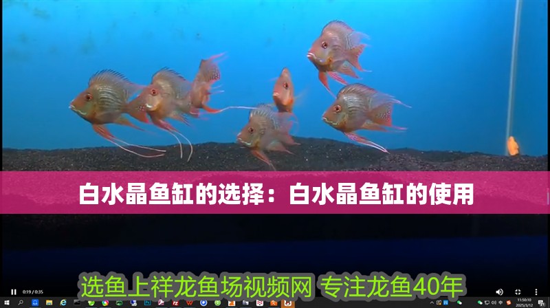 魚缸用增氧泵價格是多少:魚缸增氧機-xtrac增氧機-xtrac增氧機 白水晶魚缸的選擇:白水晶魚缸的使用 魚缸百科 白水晶魚缸的選擇:白水晶魚缸的使用 白水晶魚缸的選擇:白水晶魚缸的使用 魚缸百科