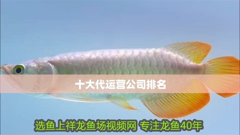 十大代運營公司排名