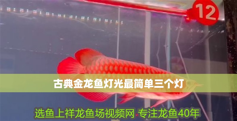 古典金龍魚燈光最簡(jiǎn)單三個(gè)燈 古典金龍魚燈光最簡(jiǎn)單三個(gè)燈 龍魚論壇