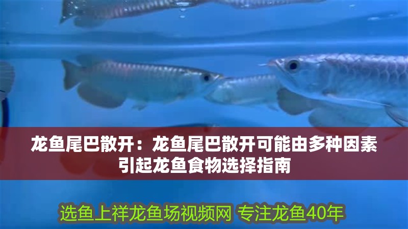 龍魚尾巴散開：龍魚尾巴散開可能由多種因素引起龍魚食物選擇指南
