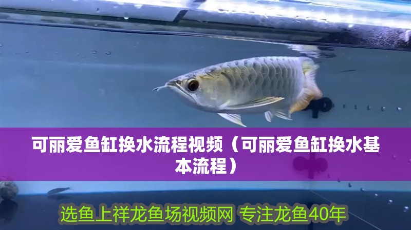 可麗愛魚缸換水流程視頻（可麗愛魚缸換水基本流程）