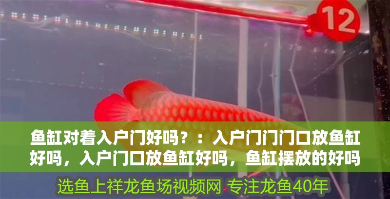 魚缸對著入戶門好嗎？：入戶門門門口放魚缸好嗎，入戶門口放魚缸好嗎，魚缸擺放的好嗎