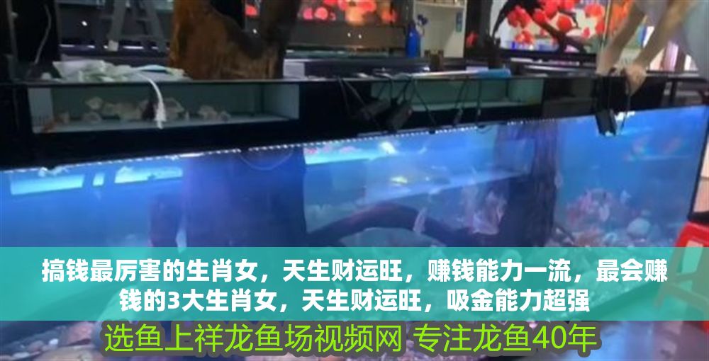 搞錢最厲害的生肖女，天生財運旺，賺錢能力一流，最會賺錢的3大生肖女，天生財運旺，吸金能力超強