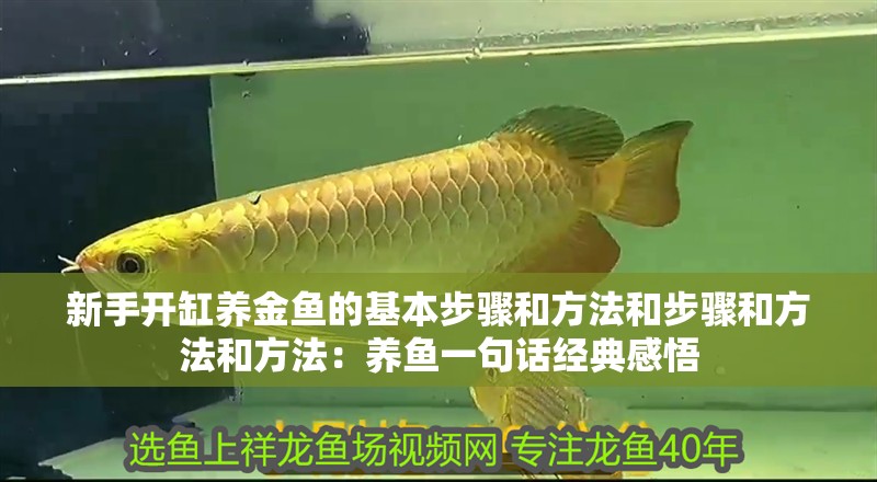 新手開缸養金魚的基本步驟和方法和步驟和方法和方法：養魚一句話經典感悟