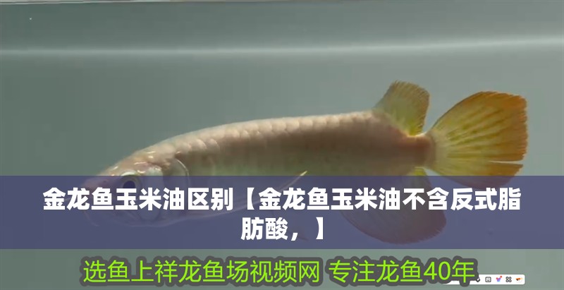 金龍魚玉米油區別【金龍魚玉米油不含反式脂肪酸，】
