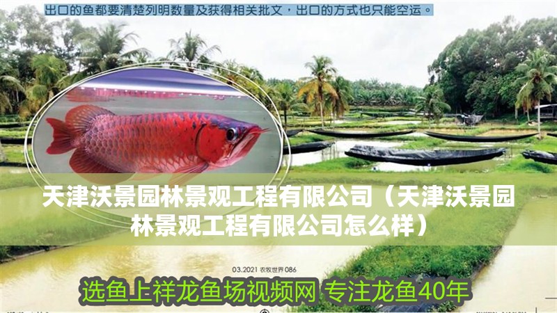 天津沃景園林景觀工程有限公司（天津沃景園林景觀工程有限公司怎么樣）