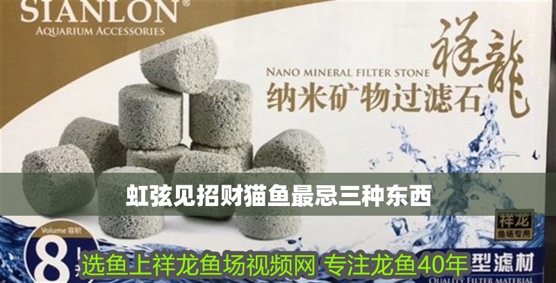 虹弦見(jiàn)招財(cái)貓魚(yú)最忌三種東西
